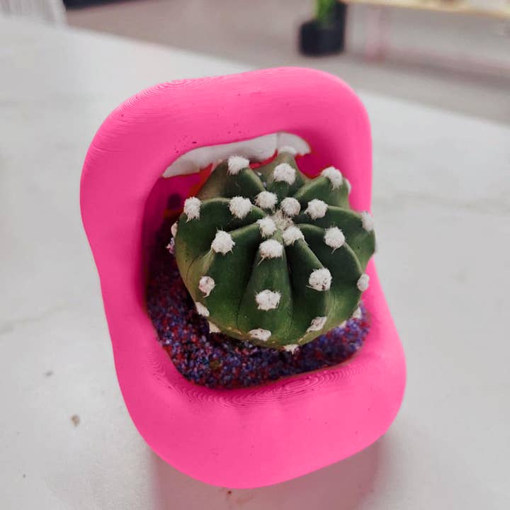 Peachy Pilea - Wholesale Plant Pot - Retro Lips Planter | More Sizes + Colors Available