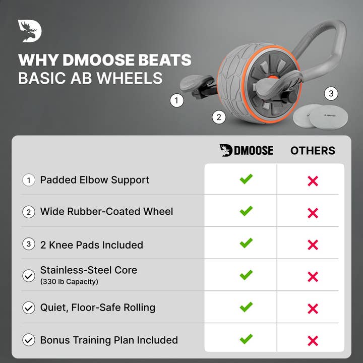 Gray DMoose Ab Roller for wholesale on Faire8