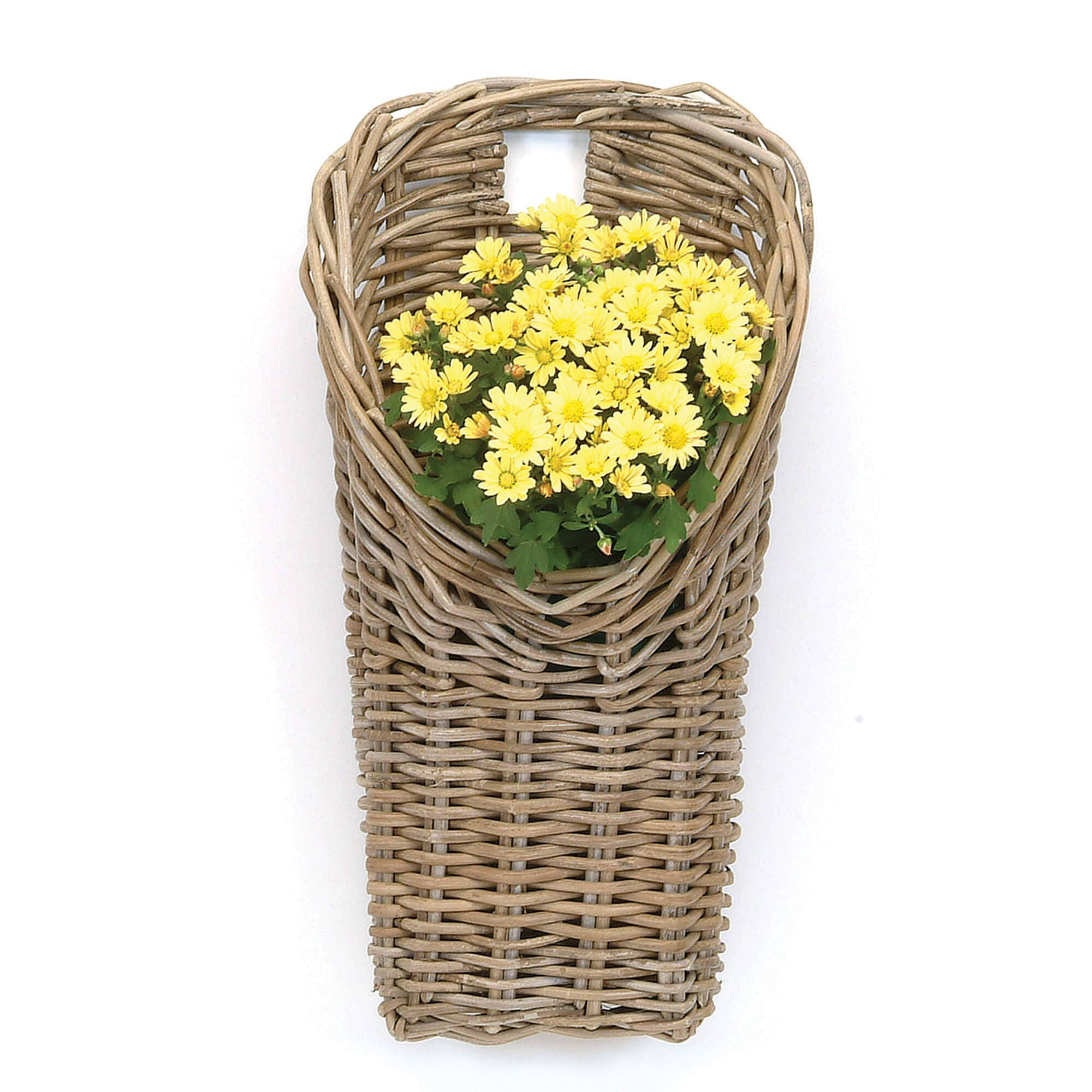 Bacon Basketware - Wholesale Basket - WALL BASKET KUBU GREY0