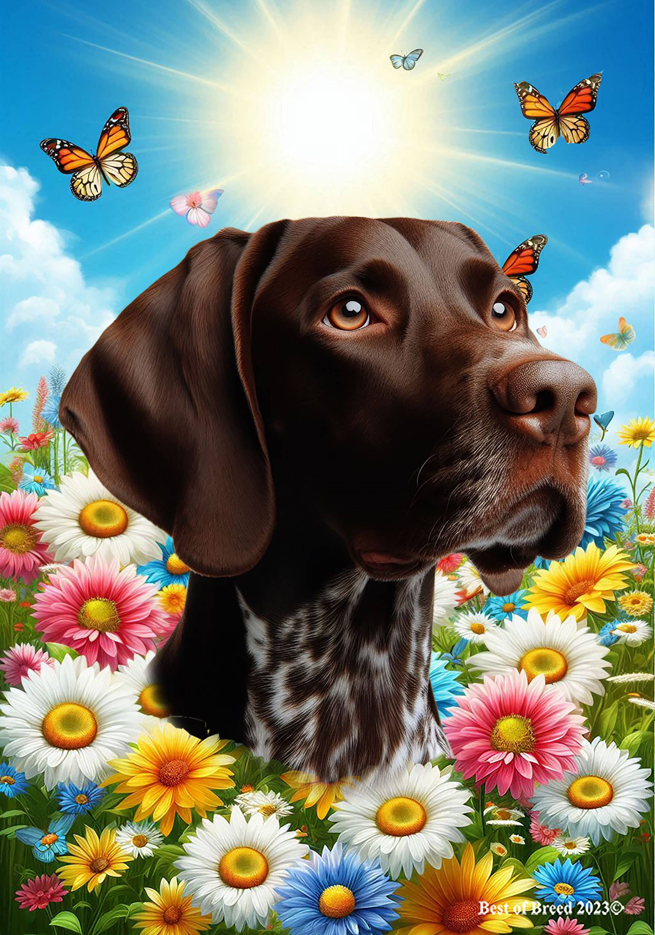 Best of Breed Products - Wholesale Flag - German Shorthair Pointer - Summer Butterflies House Flag