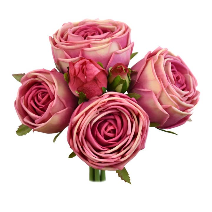 8.5” Fresh Touch Cabbage Rose Bundle- Fuchsia for wholesale by David Christopher's Collection