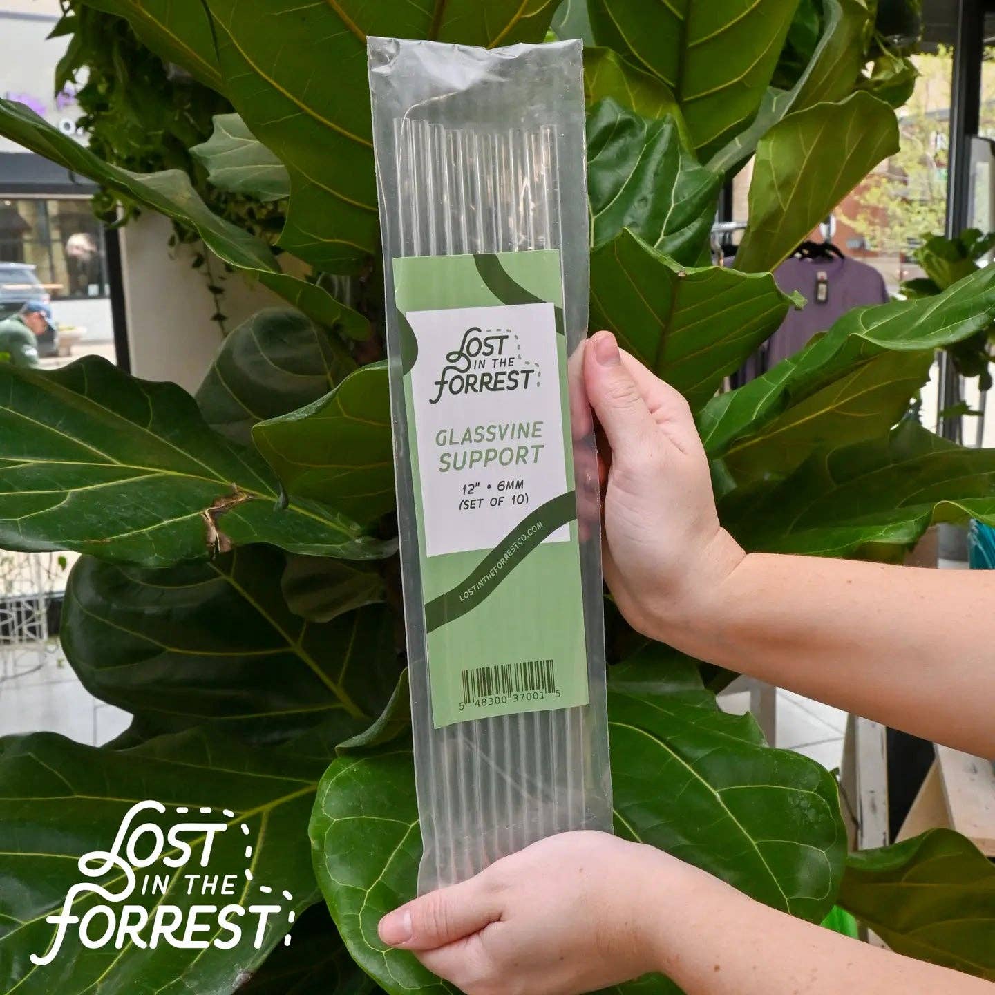 Lost in the Forrest - Wholesale Garden Tool - Glassvine Support0