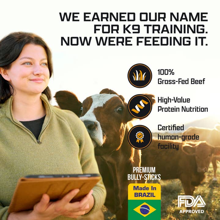 Invirox - Wholesale Pet Treats - Dog - 25 - Bully-Sticks For Dogs - 100% Natural, Grass-Fed Beef, One Ingredient3