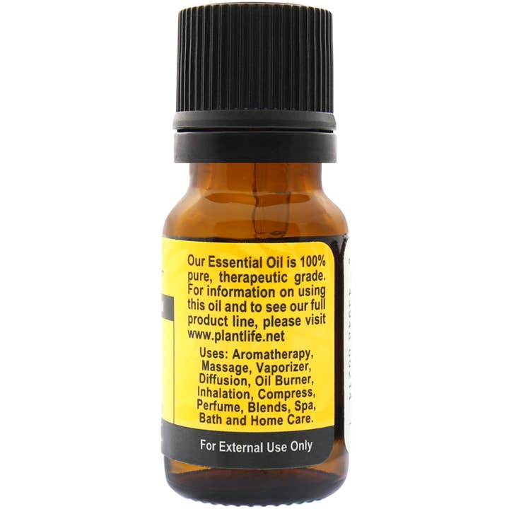Plantlife - Wholesale Essential Oil - Helichrysum Essential Oil1