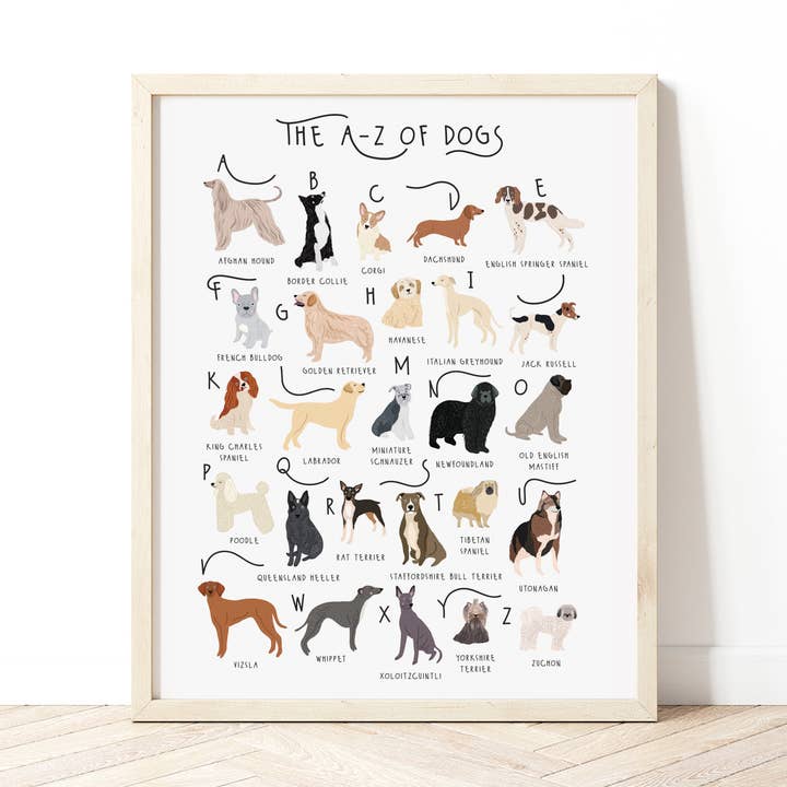 Bea Baranowska Illustration – wholesale Art print – The A-Z of Dogs Print0