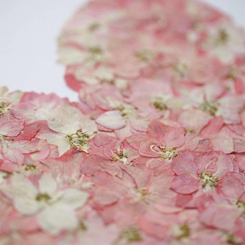 Flowrette - Wholesale Art Print - Herbier l'Amour toujours A41