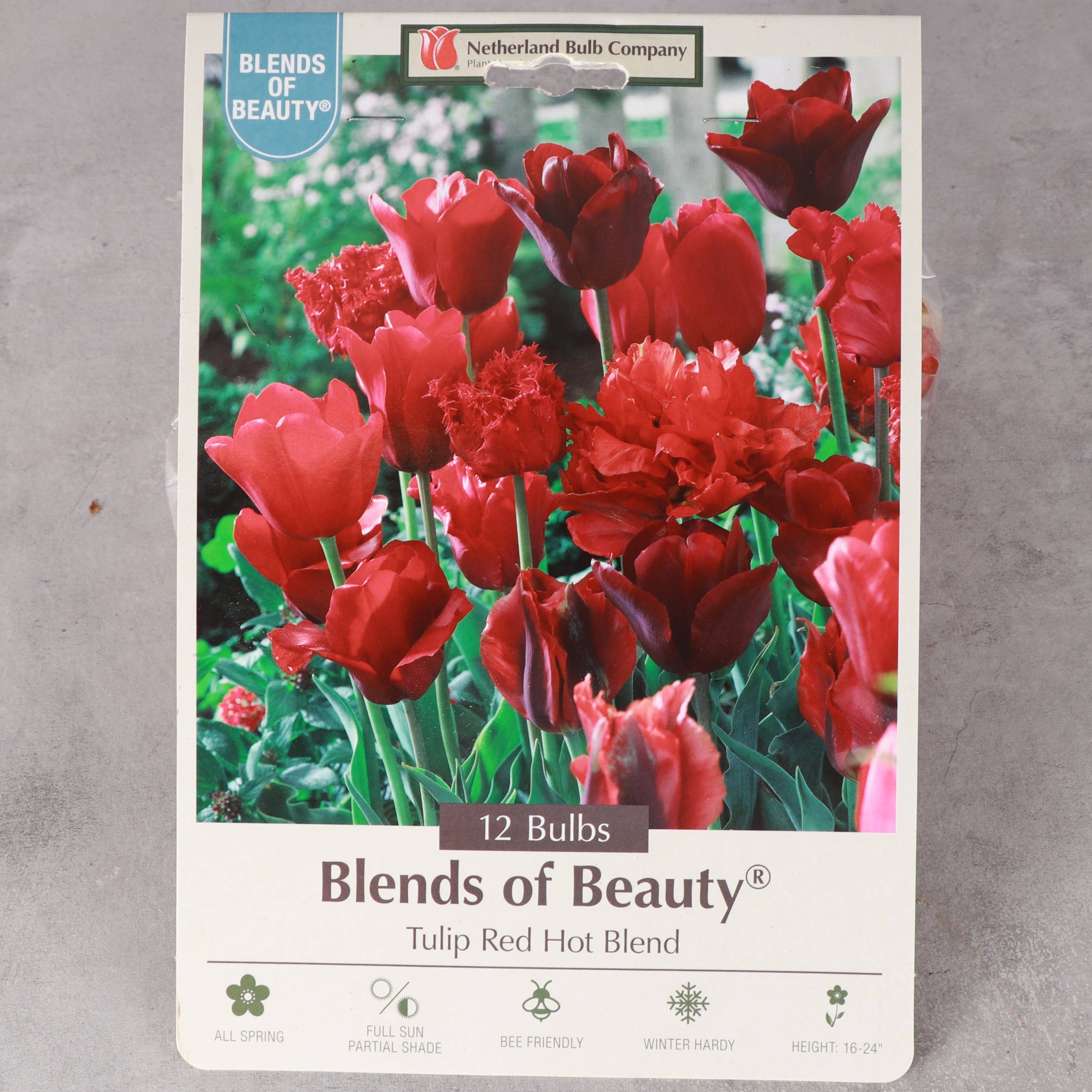 Thorsen's Greenhouse - Vente Plante - Bulbes de tulipes - Mélanges uniques - Vivaces0