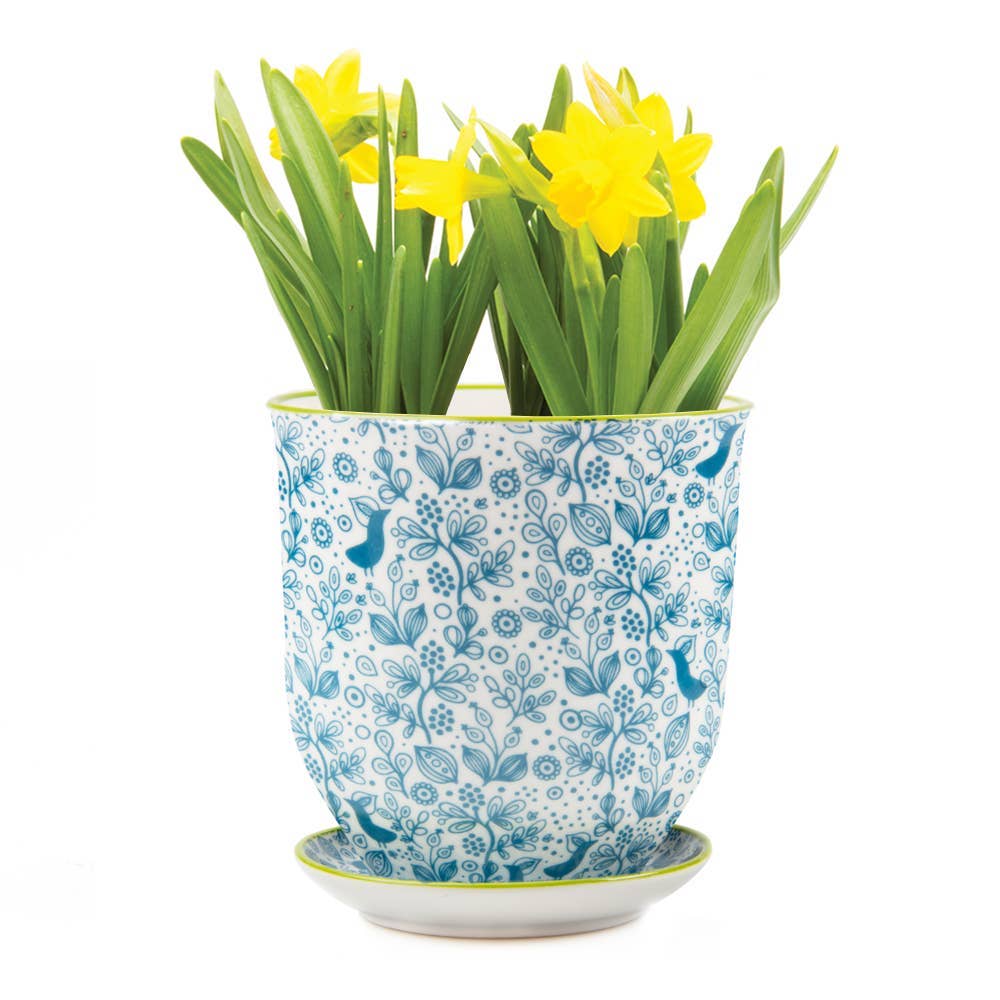 Chive UK – Großhandel Blumentopf – Liberte 3 - Keramik-Blumentopf mit Untersetzer und Abflussloch1