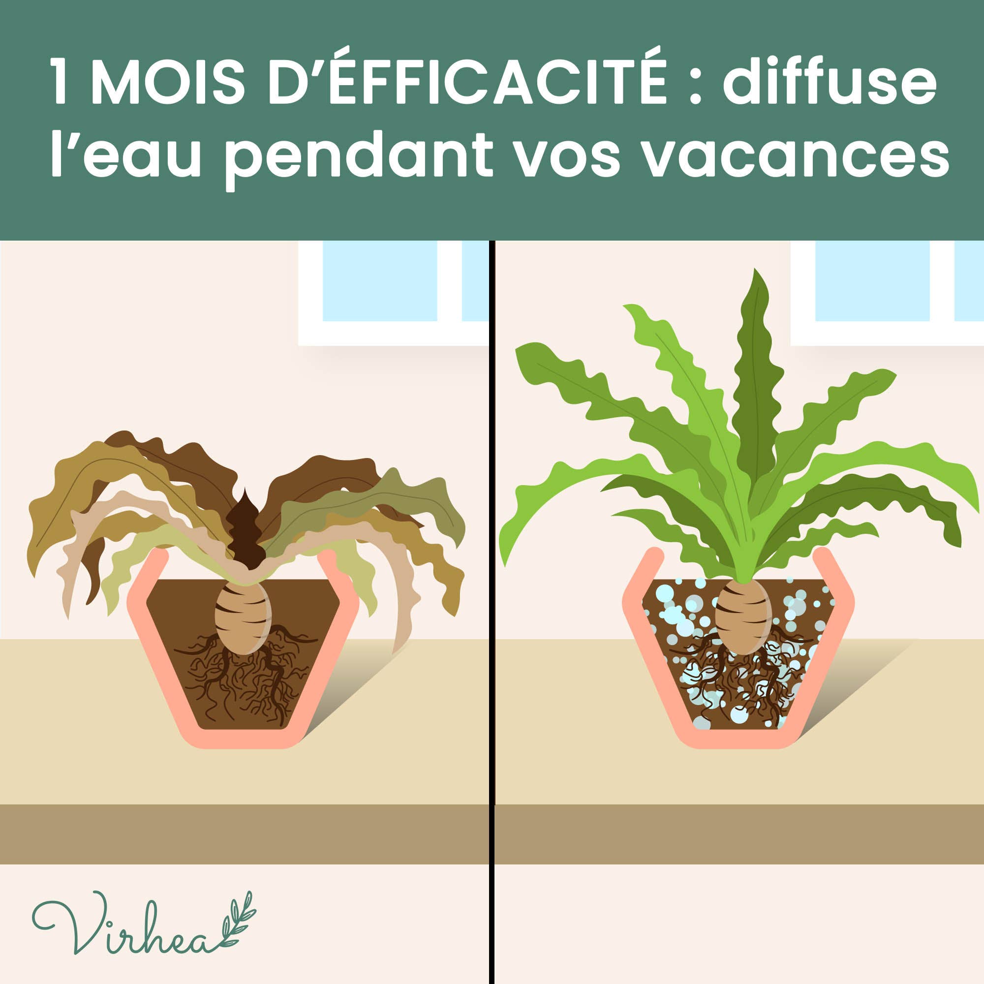 Virhea - Wholesale Kunstmest - Wateropslaand gel voor korrelige planten - 200 g2