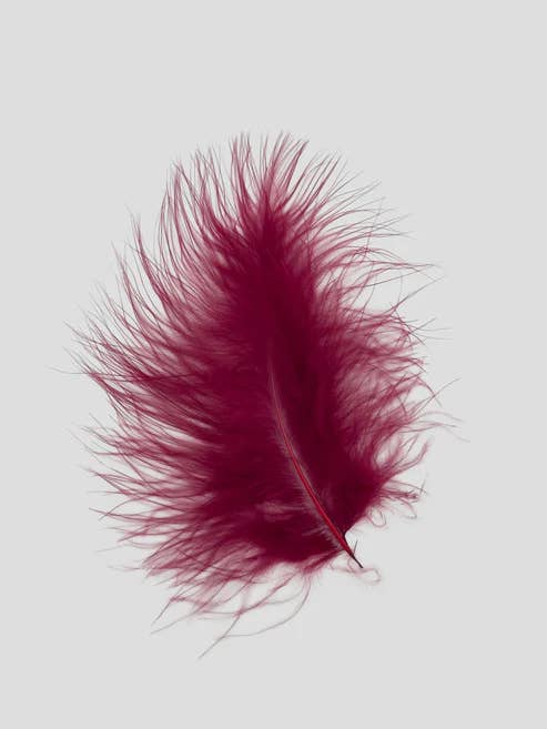 Marabou 12-15 cm Bordeaux for wholesale by Enkels Feathers