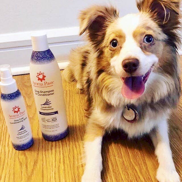 Aroma Paws - Wholesale Pet Shampoo - Dog - 13.5 Oz. Shampoo Lavender Chamomile5