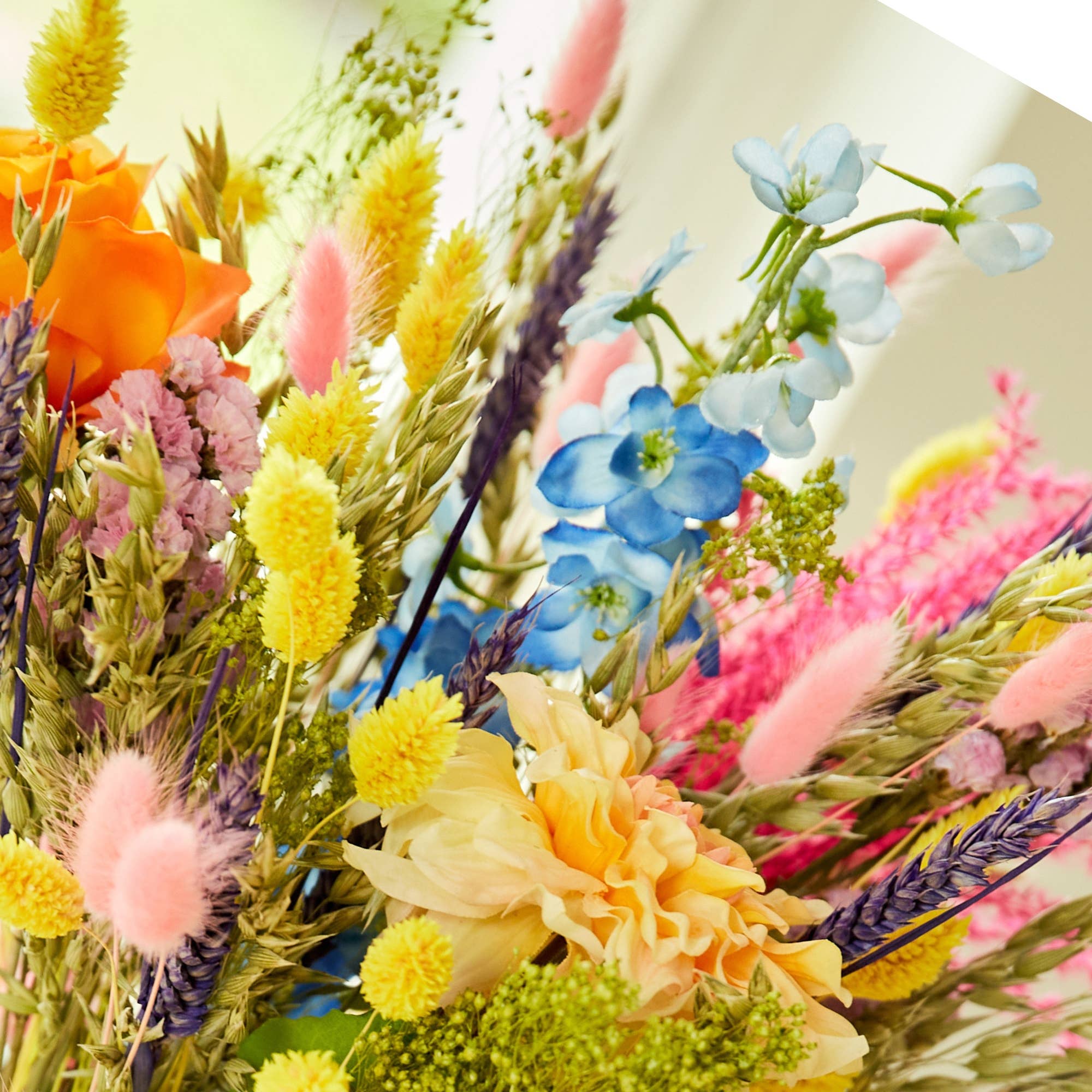 Wildflowers by Floriette - Vente Fleur séchée/pressée - Bouquet de fleurs séchées et en soie7