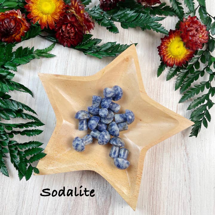 Ewelina Pas Jewelry - Wholesale Spiritual Stone/Crystal - MINI Gemstone Mushroom Pocket Stone18