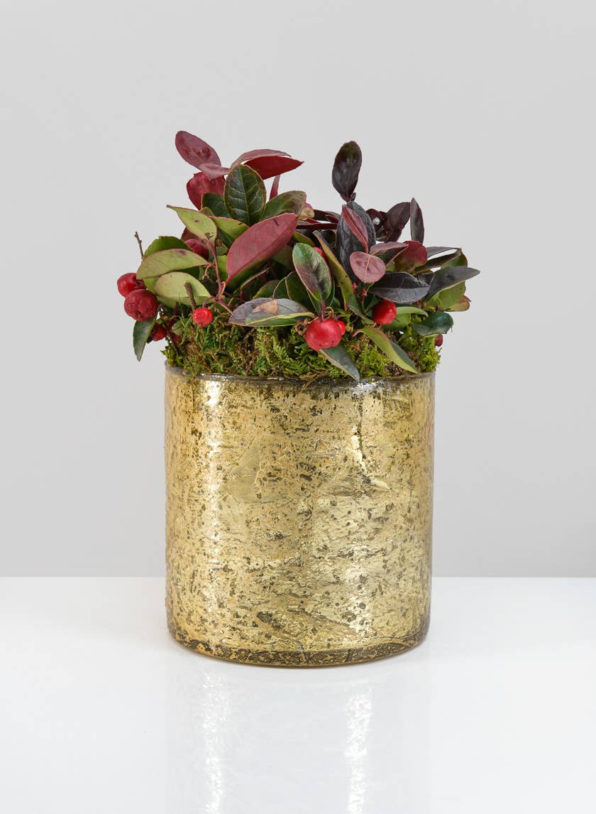 Jamali Garden - Vente Vases - Vase en verre doré 5 x 5 pouces1