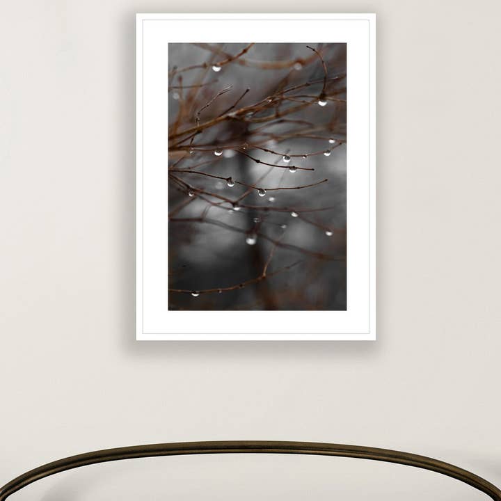 Brooke T Ryan Photographic Art - Wholesale Art Print - Raindrops on Branches Art: Dark and Moody Nature Photography1