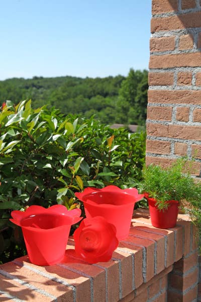 B&P Italia - Wholesale Plant Pot - Colourful cheap pot covers4