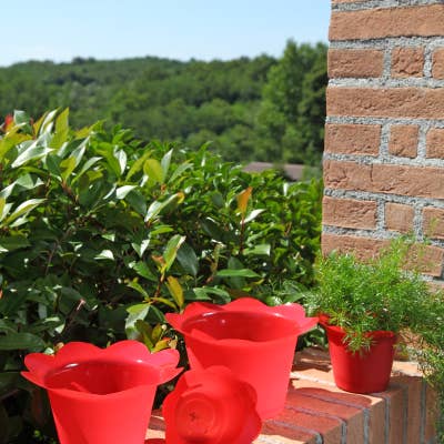 B&P Italia - Wholesale Plant Pot - Colourful cheap pot covers4