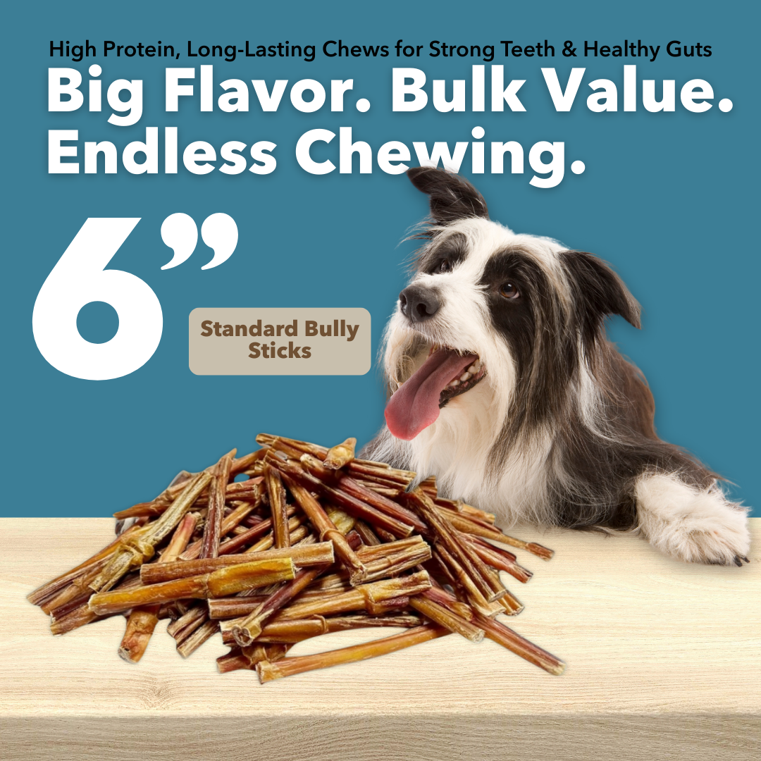 Mighty Chewz - Wholesale Pet Treats - Dog - 6" Standard Bully Sticks $1.22/ Stick (Case Price)3
