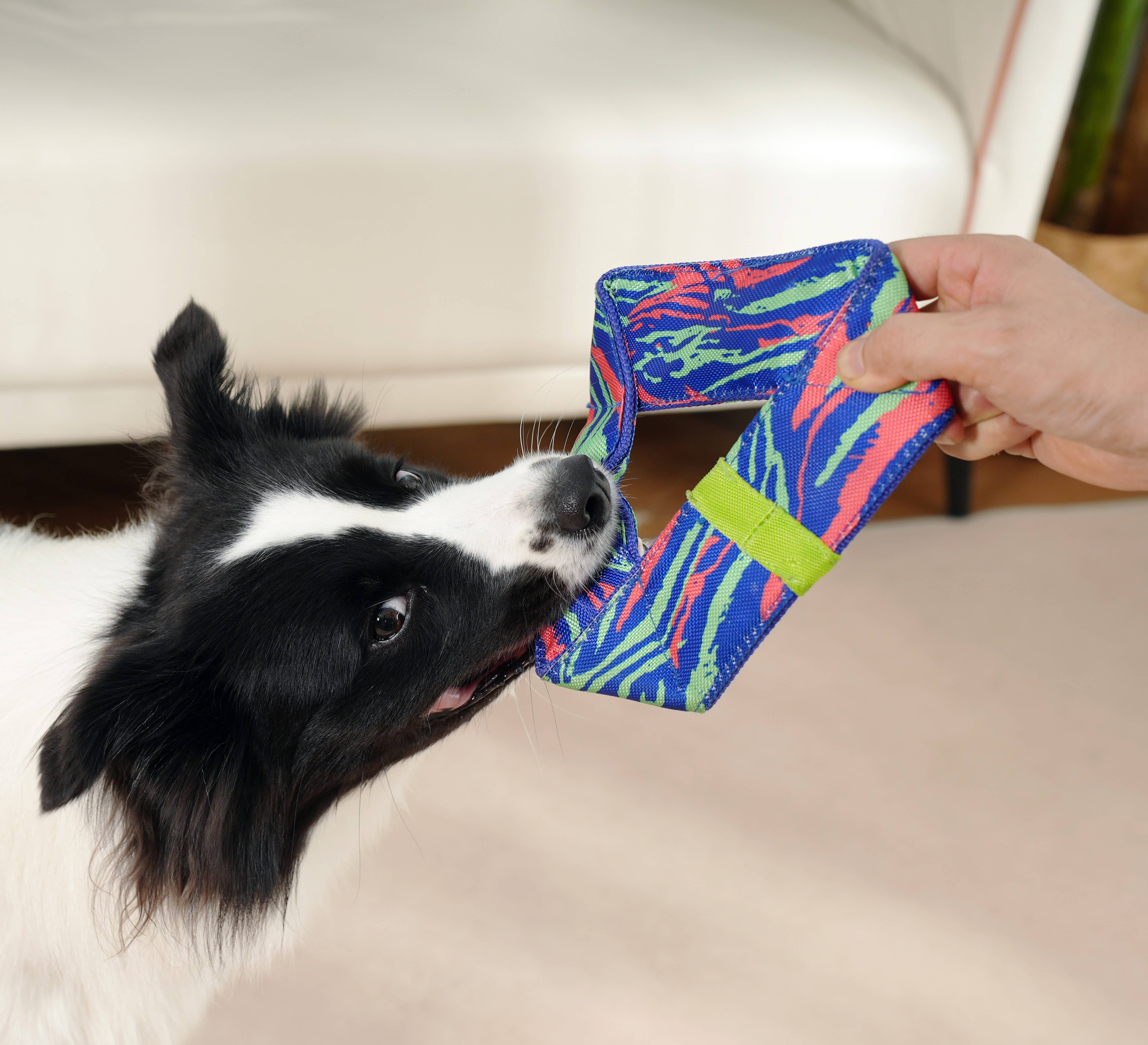 Caitec Inc - Venta al por mayor Juguete - Perros - Juguete resistente para perros Firehose Multi Color Toss – HERO2