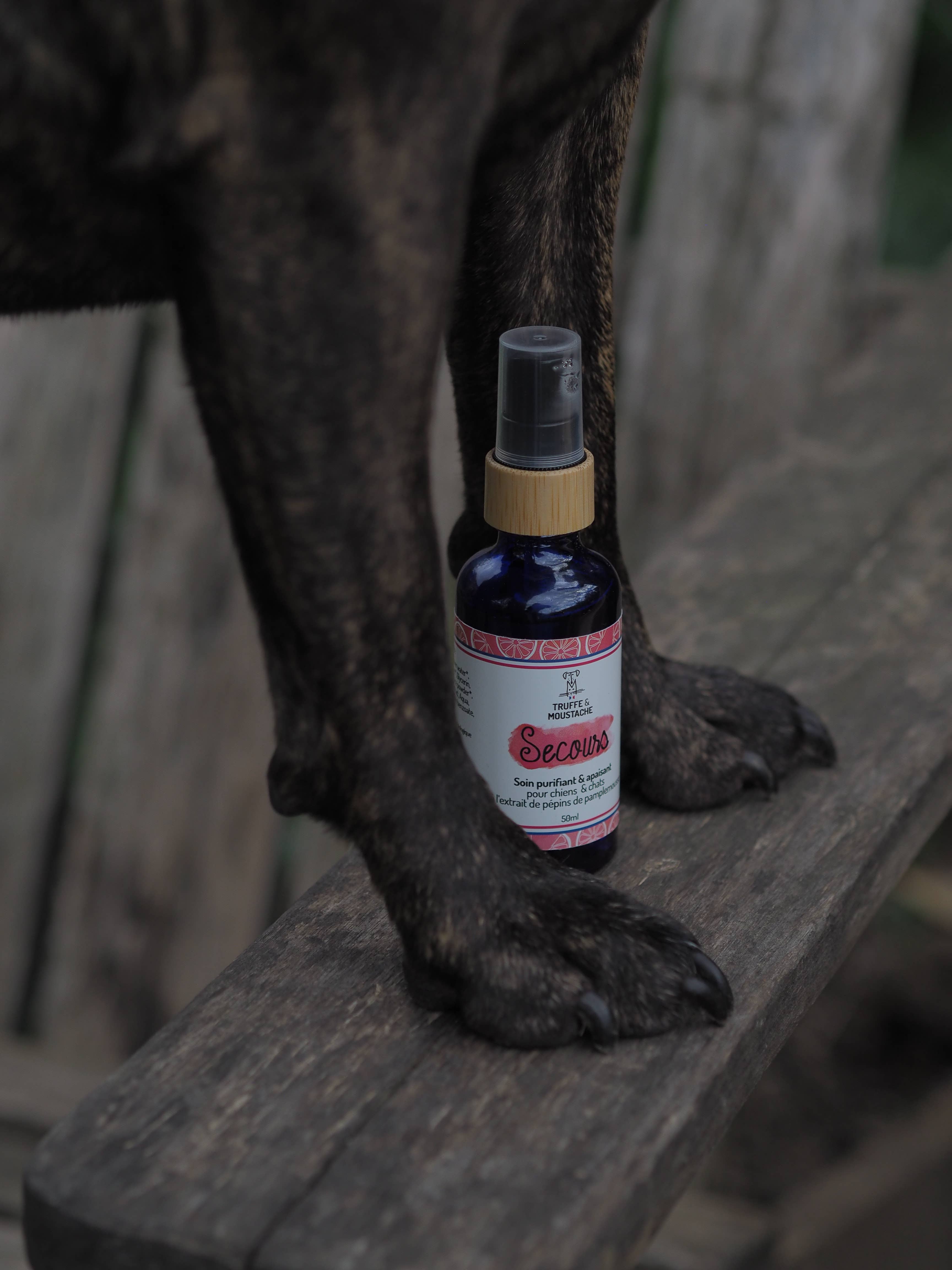 Truffe & Moustache - Wholesale Pet Grooming Aid - Dog - Purifying and anti-itch treatment, "Relief"4