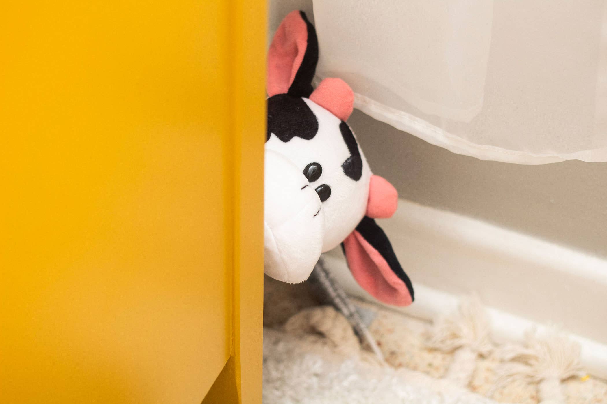 R & R Games – Peluche - Crianças e bebés por atacado – Hide & Seek Pals - Coco, a vaca3