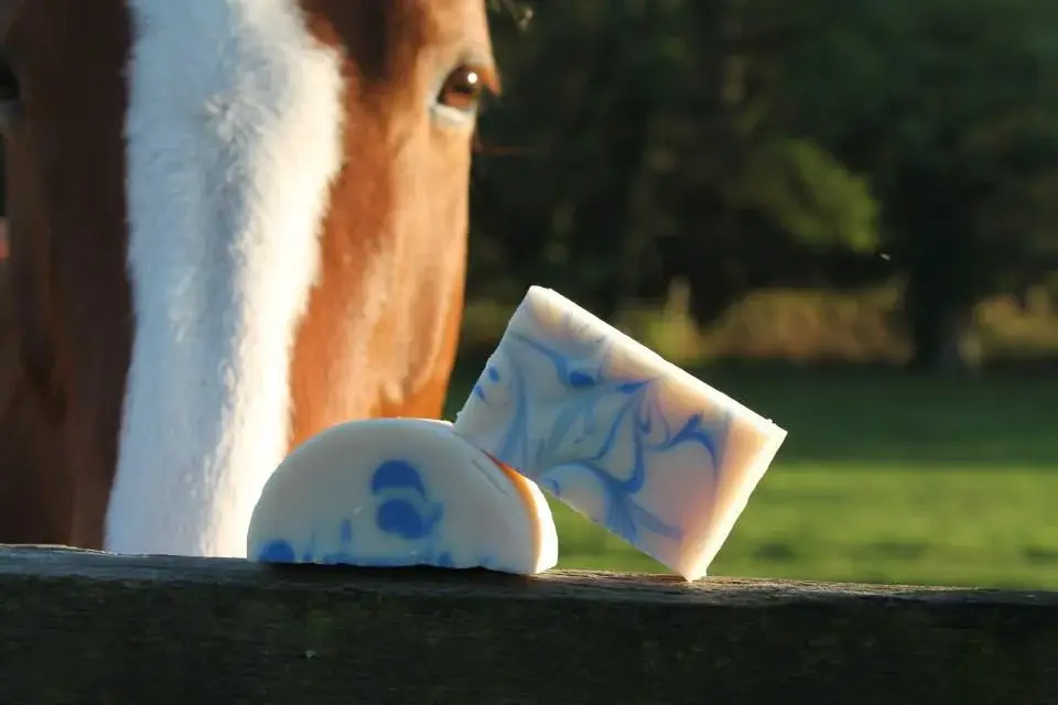 Harmonie Savon - Vente Pains de savon - Savon lait de jument - Marin - 100 g Vrac1