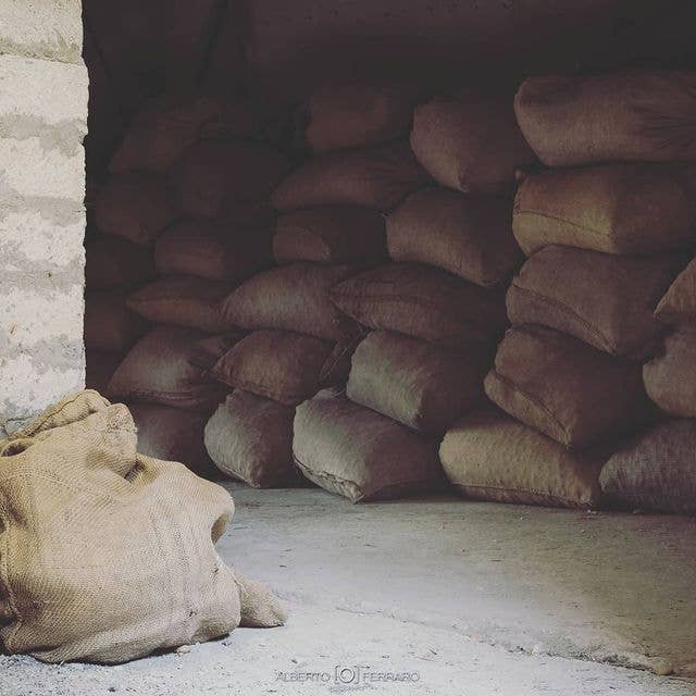 Cibi & Sapori - Wholesale Nuts - Natural Sicilian Almonds 500 g4