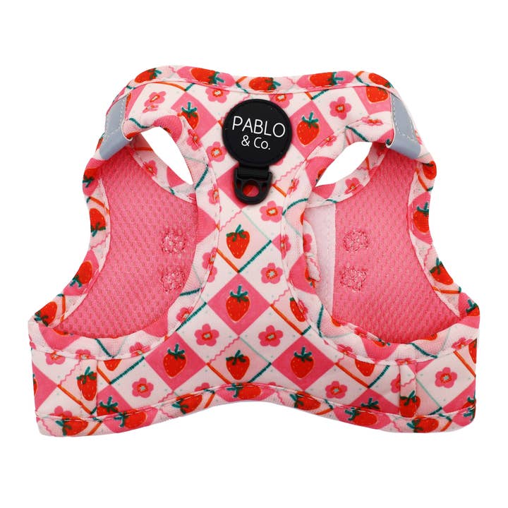 Strawberry Patch: Step In Cat Harness for wholesale by Pablo & Co. Boutique