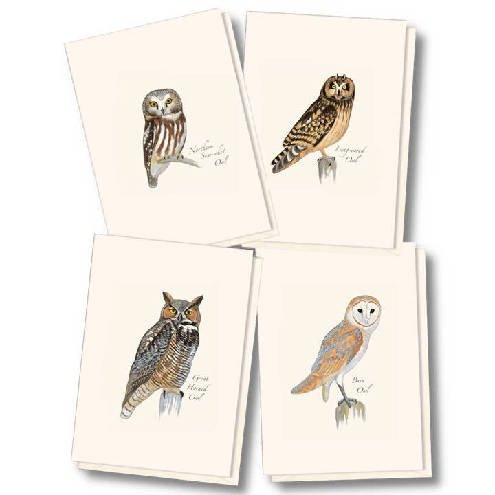 Sibley Owl Assortment for wholesale by Earth Sky + Water
