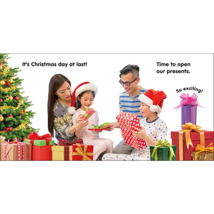 Penguin Random House LLC - Wholesale Baby & Toddler Book (0-2) - Baby's First Christmas (Padded)3