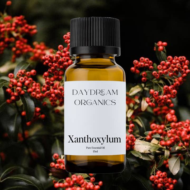 Huile essentielle de Xanthoxylum pour la vente par Daydream Organics | Prairie Doctor Brand