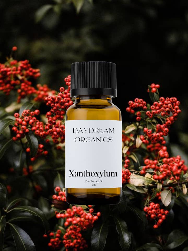 Huile essentielle de Xanthoxylum pour la vente par Daydream Organics | Prairie Doctor Brand