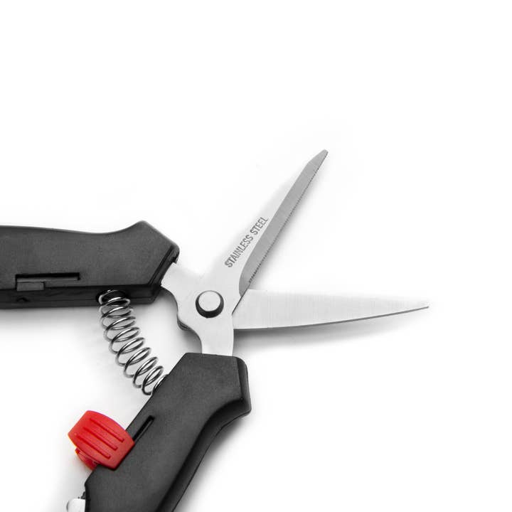 Fox Run Brands – Faca de cozinha/utilitário por atacado – Tesoura de lagosta Nantucket Seafood Aço Inoxidável, 7" x 1,75"3