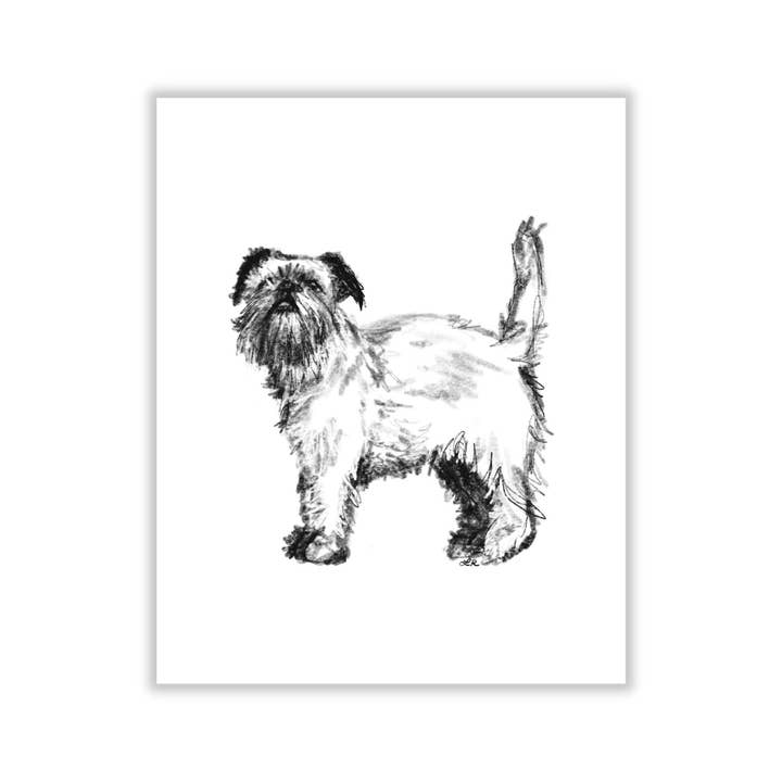 Brussels Griffon Black and White Sketchy Art Print for wholesale by The Painted Lace