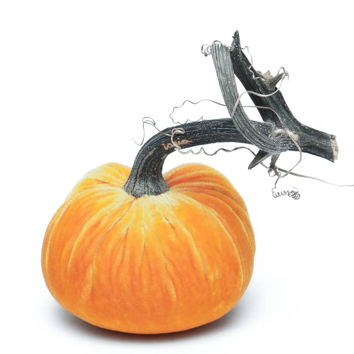Carrot Silk Velvet Pumpkin for wholesale by Hot Skwash