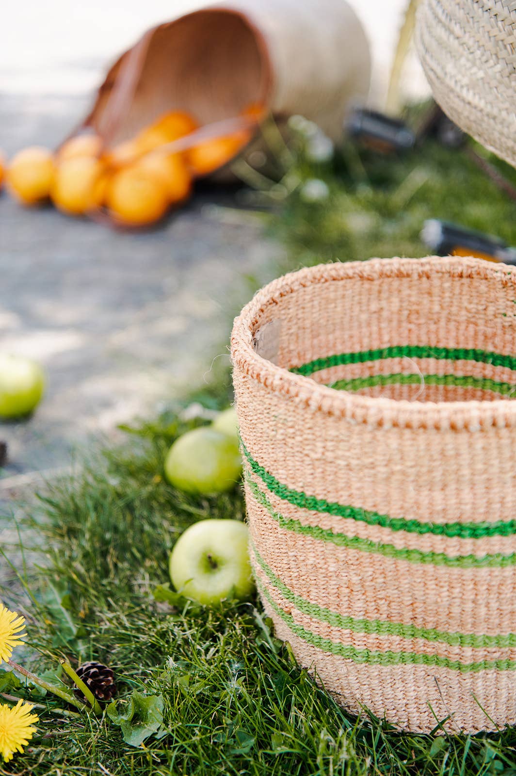 Crafts by Solid - Wholesale Basket - Handwoven Sisal Baskets - Colourful hues - XXS - XXL31