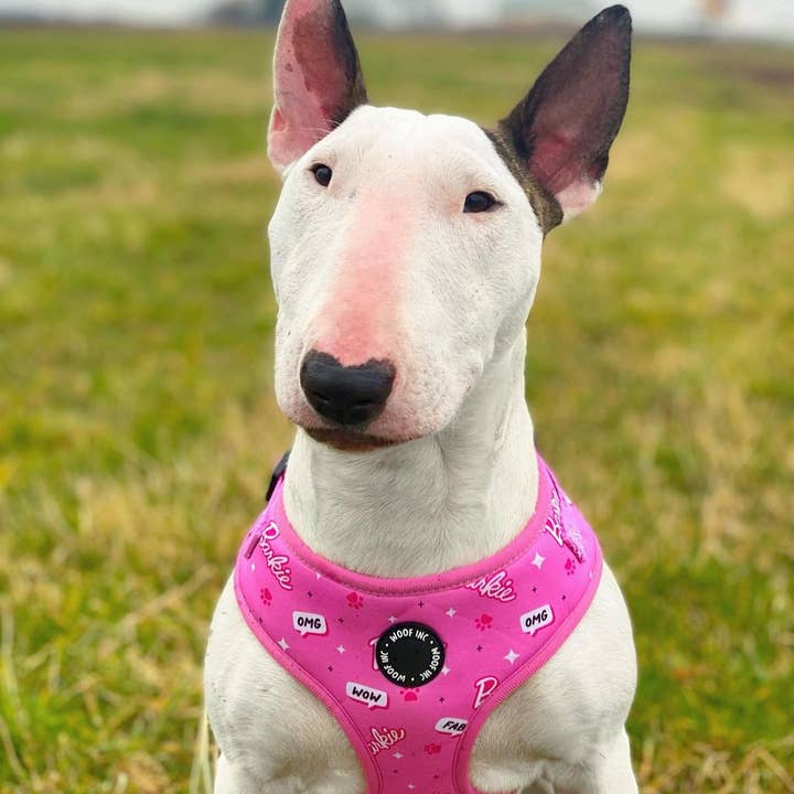 WOOF INC - Wholesale Pet Harness - Dog - Pink Barkie Dog Harness XS - L6