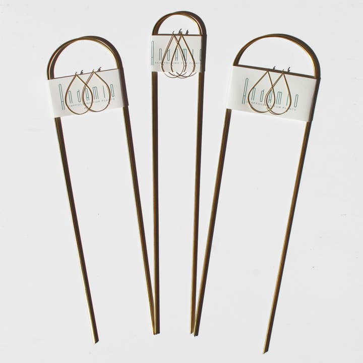 Andamio - Wholesale Plant Pot - Plant Pins Brass Houseplant Trellis Support - Assorted Sizes