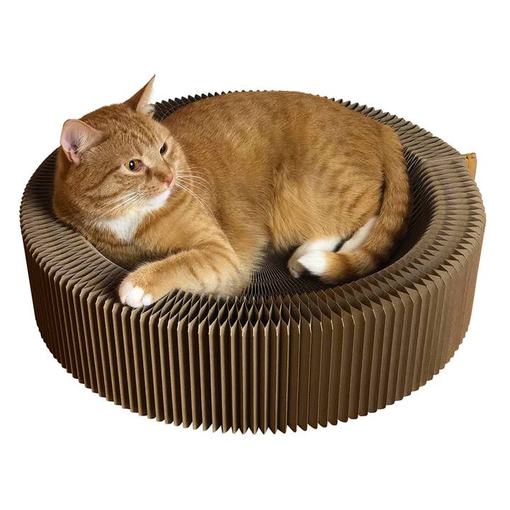 Travel Cat | Your Cat Backpack - Wholesale Pet Scratcher - Cat - "The Accordion" Travel Cardboard Bed & Scratcher