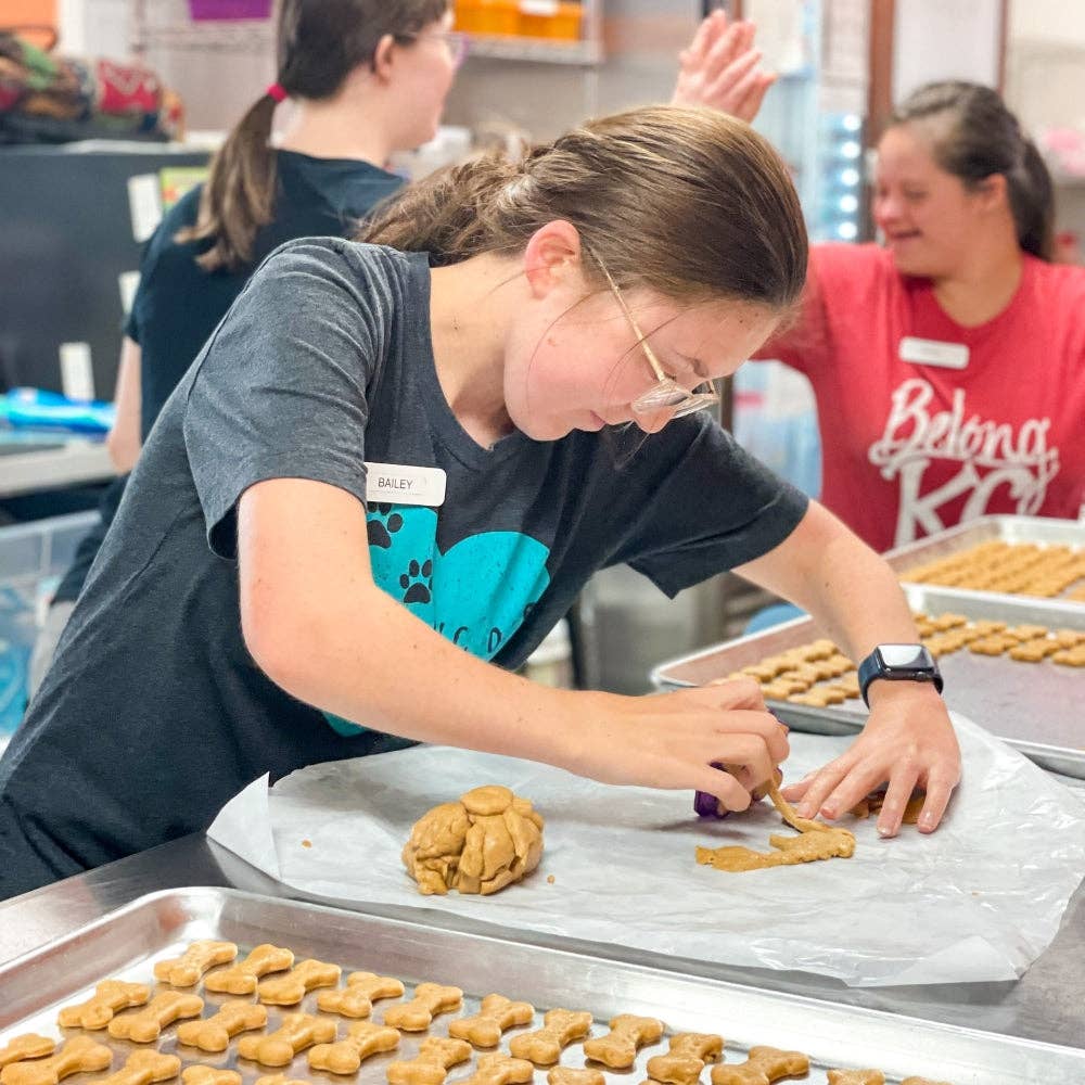 PawsAbilities - Vente Friandises – chien - Gâteries pour chiens au beurre d'arachide1
