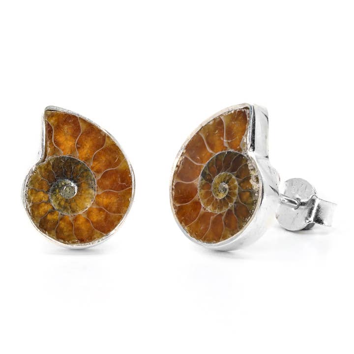 Ammonite Stud Øreringe - Naturlig Fossil - Sterling Sølv for engroshandel hos Black Feather Design