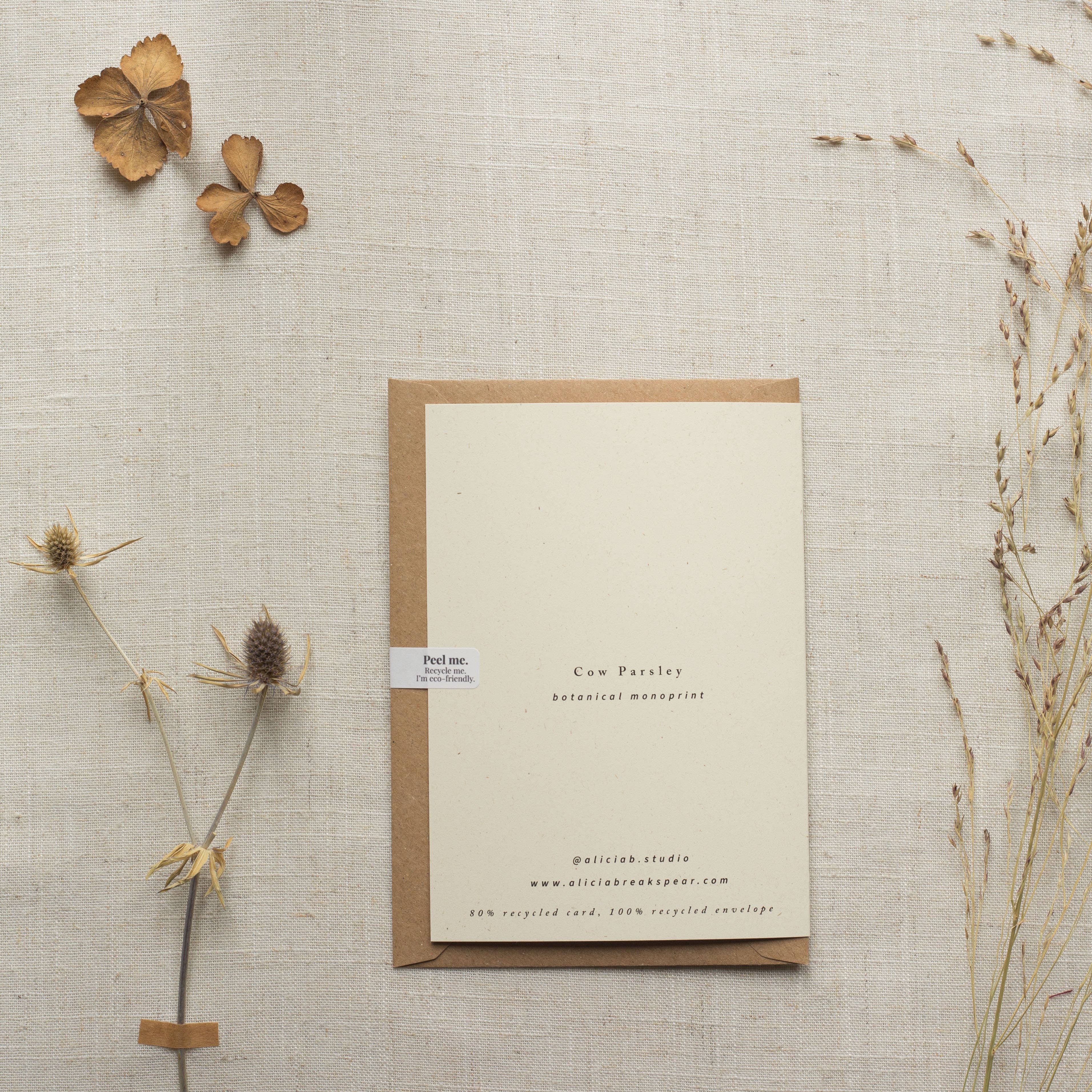 Alicia Breakspear - Wholesale Everyday Greeting Card - Cow Parsley Botanical Print Greeting Card A6 Recycled 3