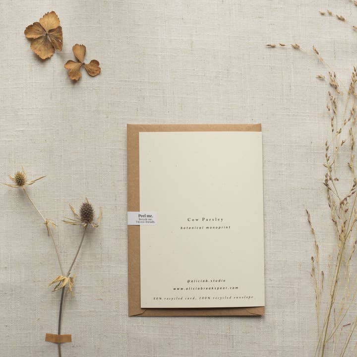Alicia Breakspear - Wholesale Everyday Greeting Card - Cow Parsley Botanical Print Greeting Card A6 Recycled 3