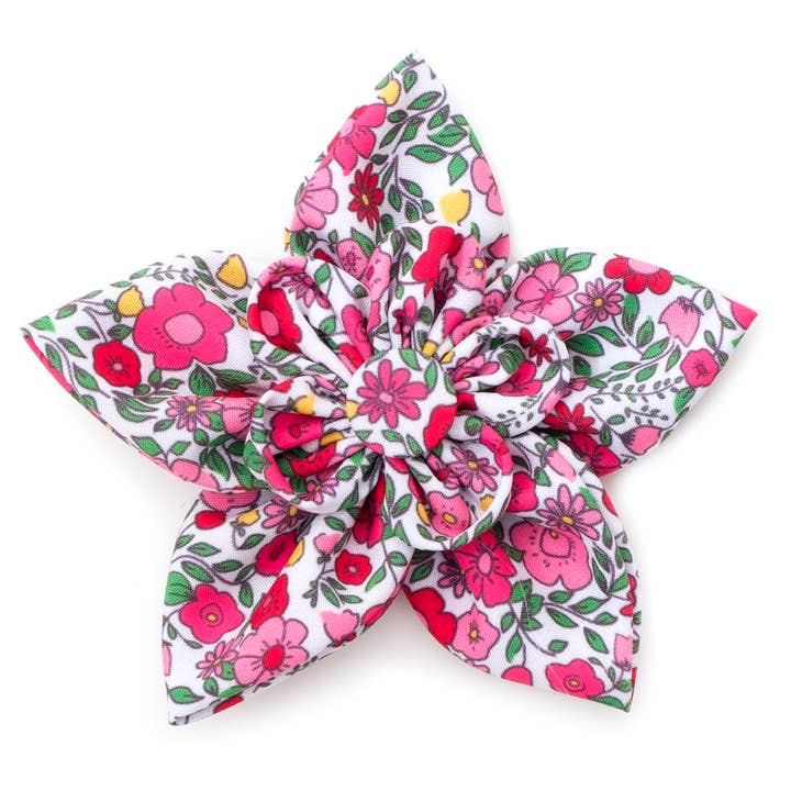 Fiore da giardino primaverile per la vendita all'ingrosso da parte di The Worthy Dog