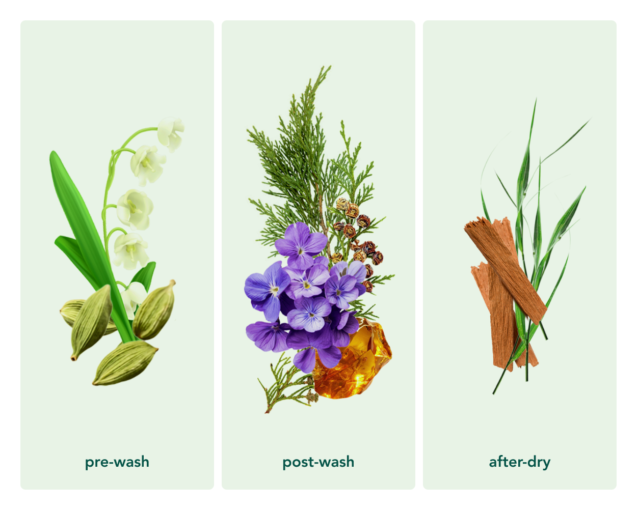 Kind Laundry - Wholesale Laundry Detergent Powder/Pods - In Wash Scent Boosters - Wood Haven6