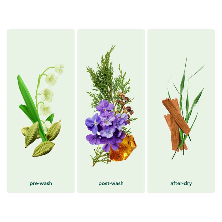 Kind Laundry - Wholesale Laundry Detergent Powder/Pods - In Wash Scent Boosters - Wood Haven6