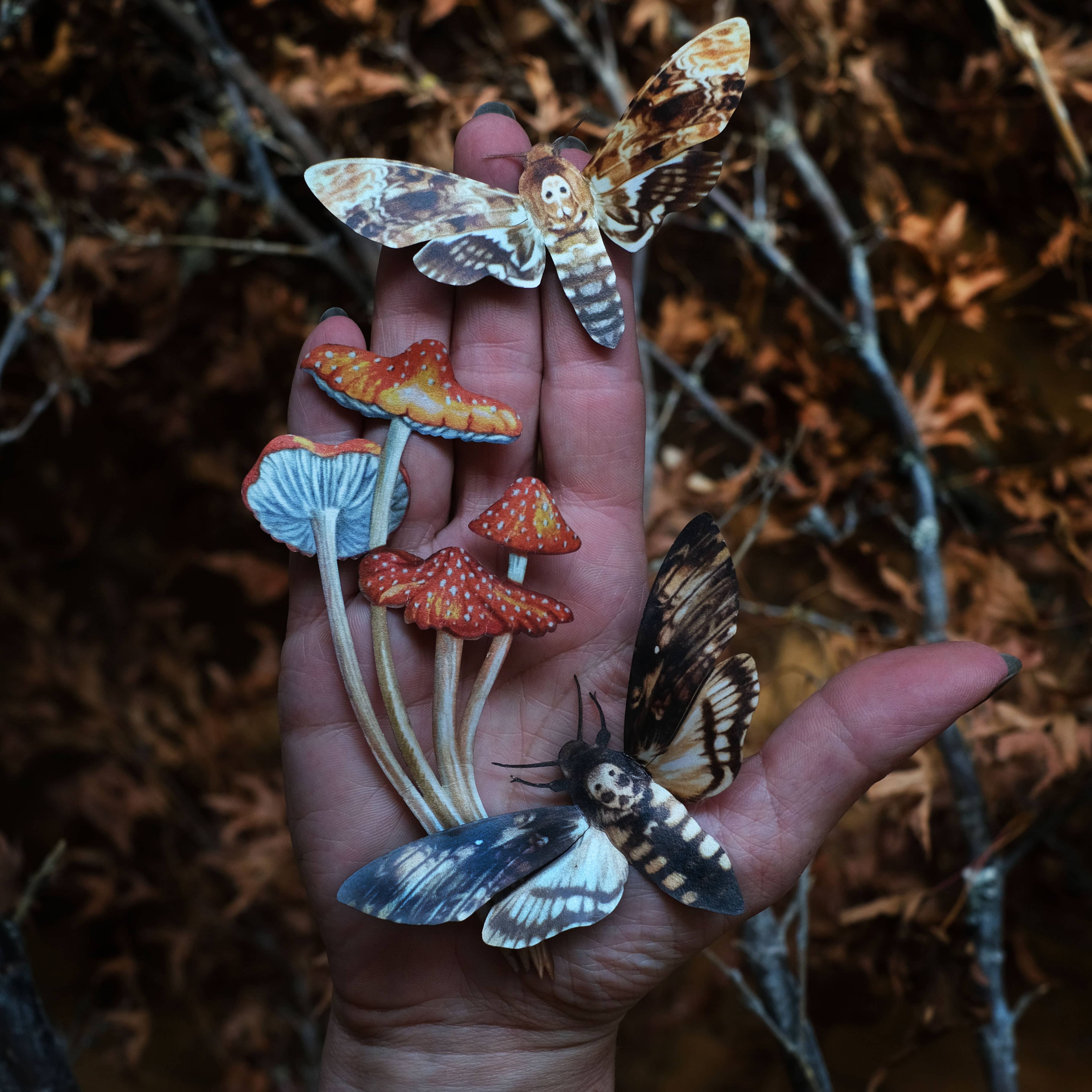 Moth and Myth - Venta al por mayor Recortables - Set de 3 piezas para polillas y hongos «Forage»2