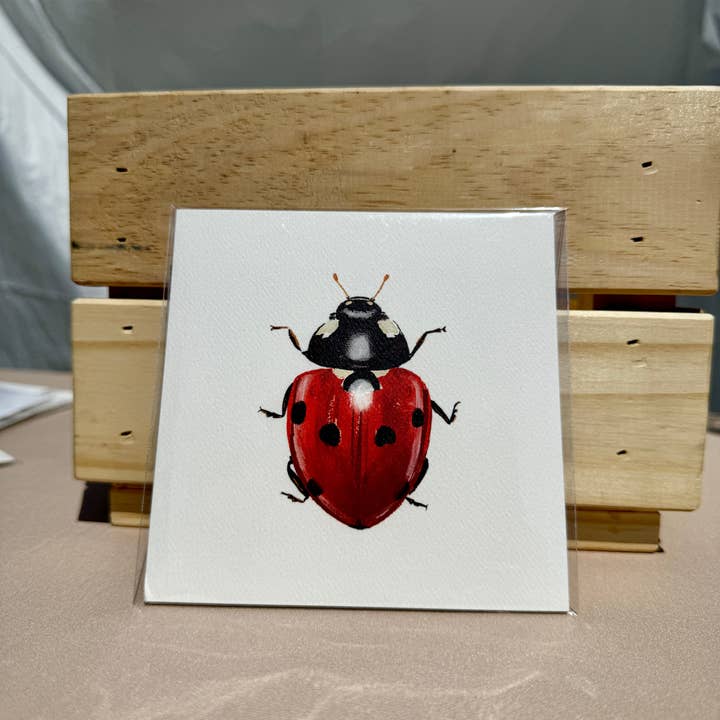 Ladybug Print for wholesale by Jasmine Rosie Art
