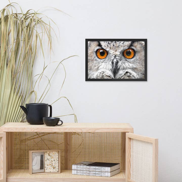 Pipa Wall Art & Home Decor - Wholesale Art Print - Close-up Yellow Owl Eyes Animal Wildlife Framed Wall Art2