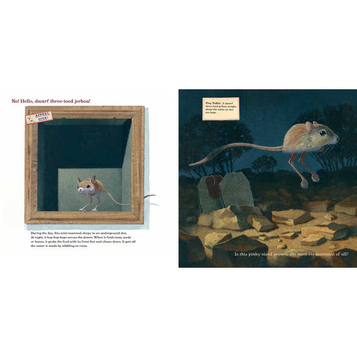 Simon & Schuster - Wholesale Book - Kids - Meet the Mini-Mammals by Melissa Stewart